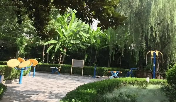 祸妃嫁到