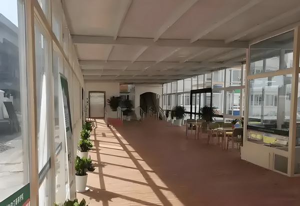 金枝招展