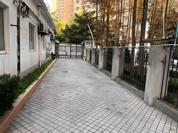 抢来的新娘